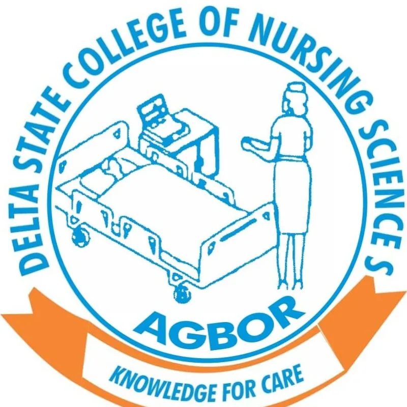 Delta State College of Nursing Sciences Past Questions and Answers PDF Download
